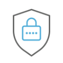 icon-Robust-Security